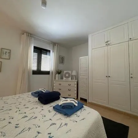 The Little Palm Apartment