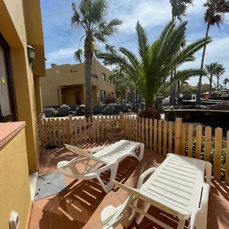 The Little Palm Apartment
