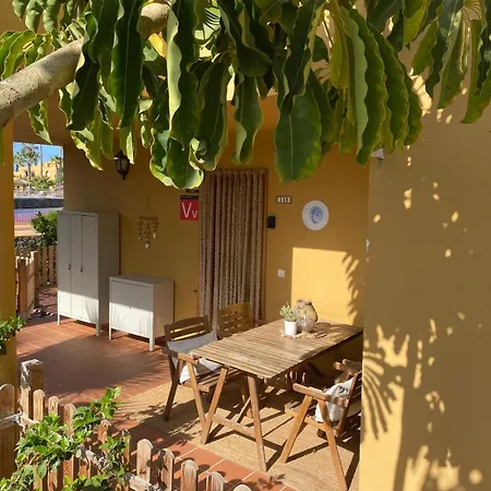 The Little Palm