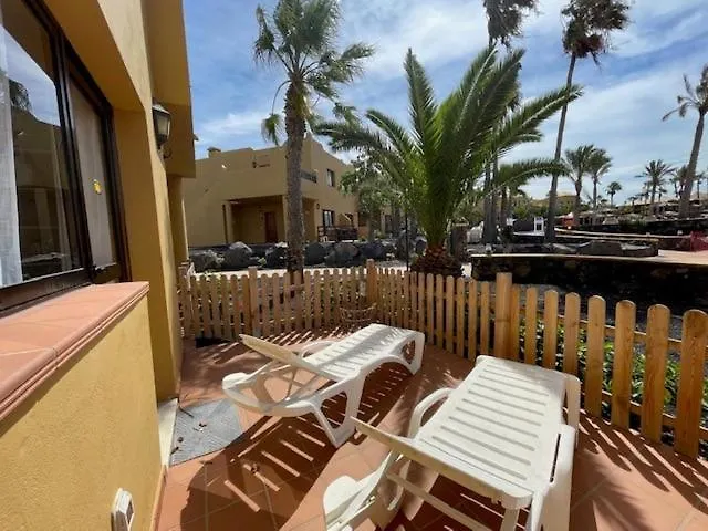 The Little Palm Appartement